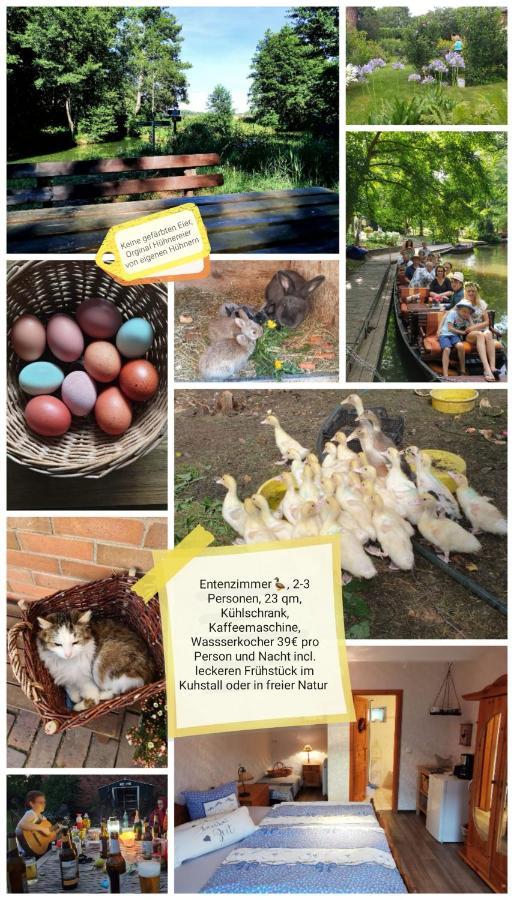Spreewaldpension Beesk Farm stay Raddusch