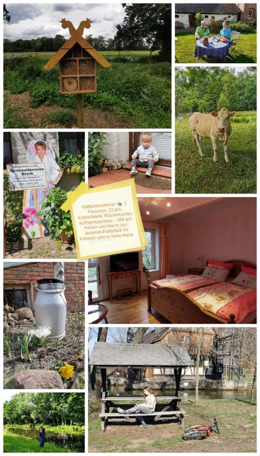 Spreewaldpension Beesk * Raddusch
