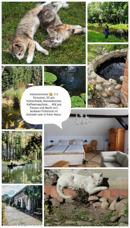 Spreewaldpension Beesk Farm stay
