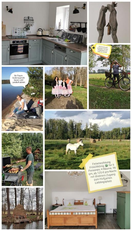 Spreewaldpension Beesk Farm stay