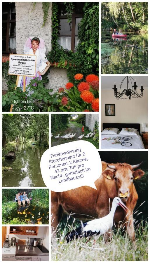 Spreewaldpension Beesk Farm stay *